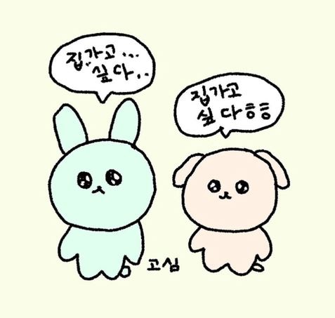 데이토나레코즈 이미지