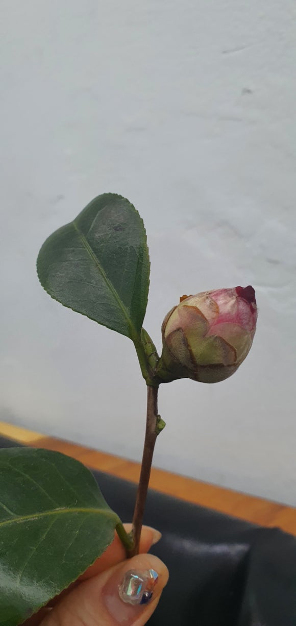 지산축산 이미지