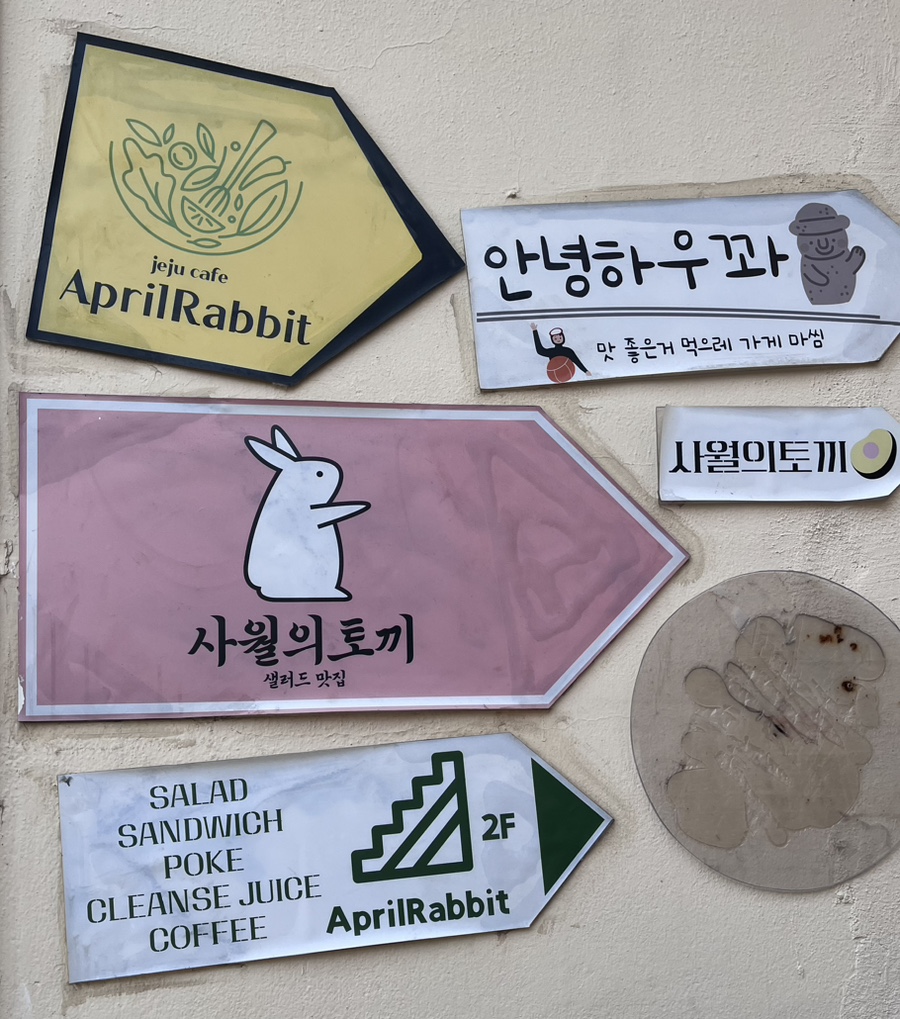 사월의토끼 이미지