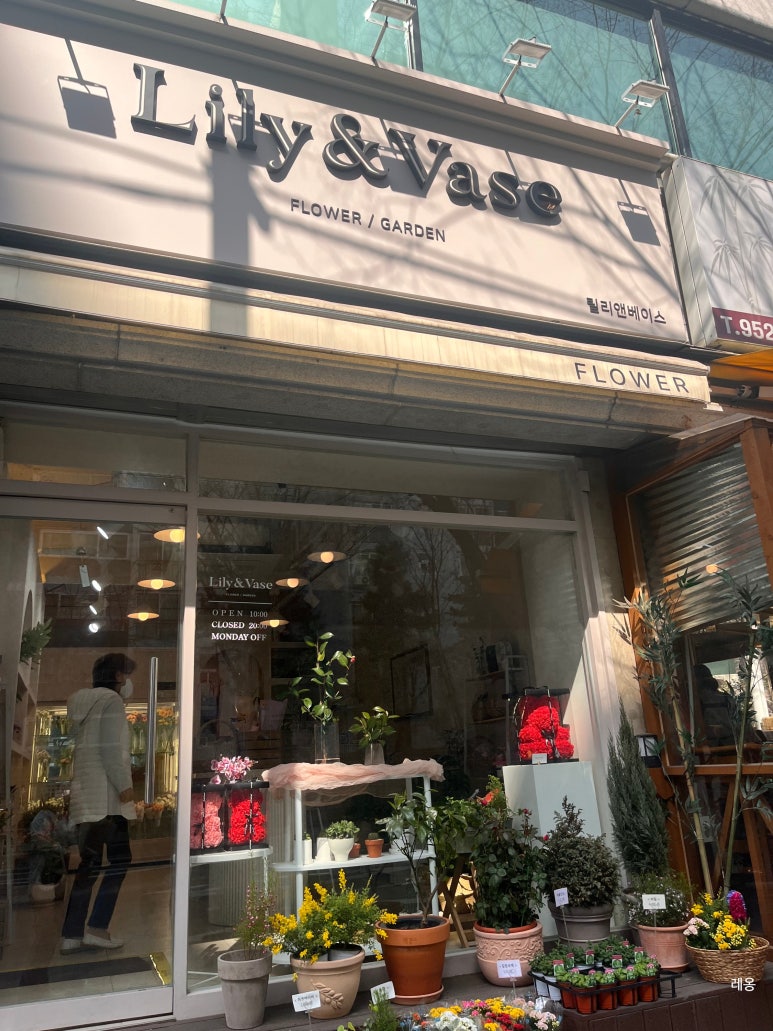 릴리앤베이스 이미지