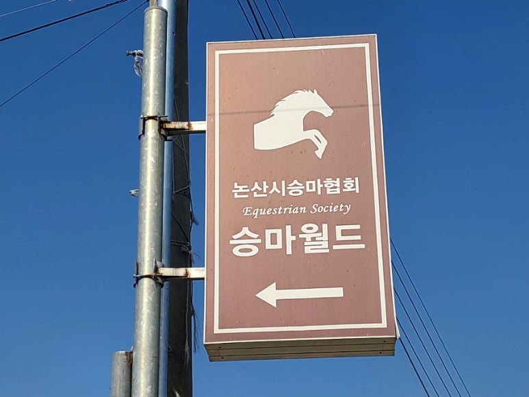 논산승마월드논산시승마협회 이미지