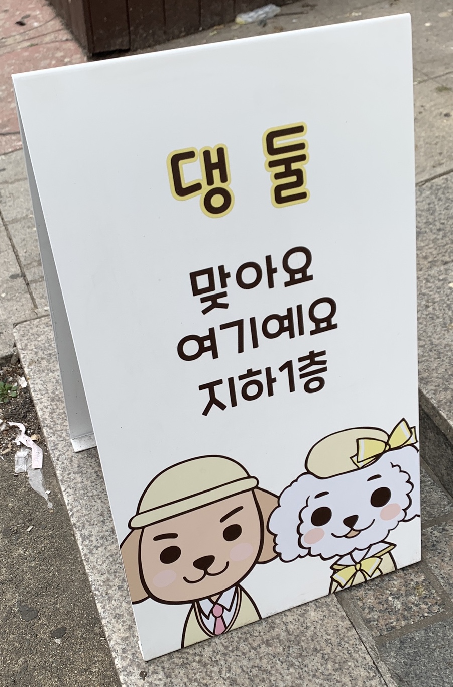 댕둘 이미지