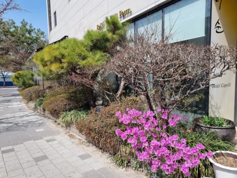 갤러리베아띠 이미지