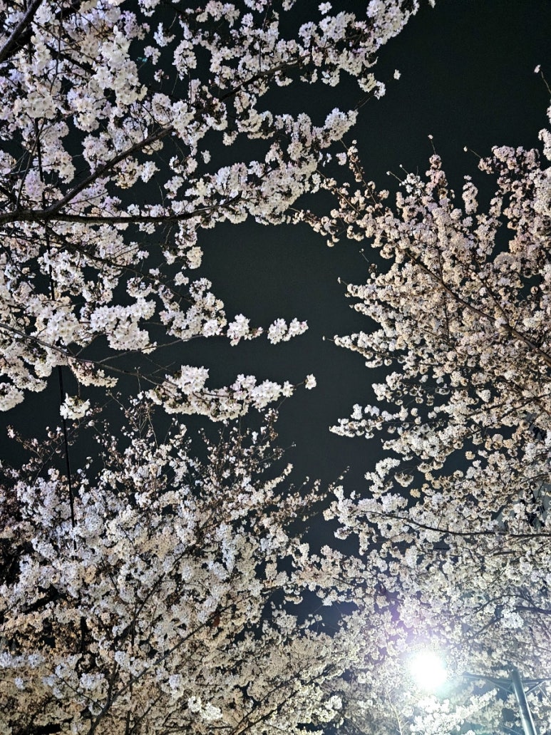 반계공원 이미지