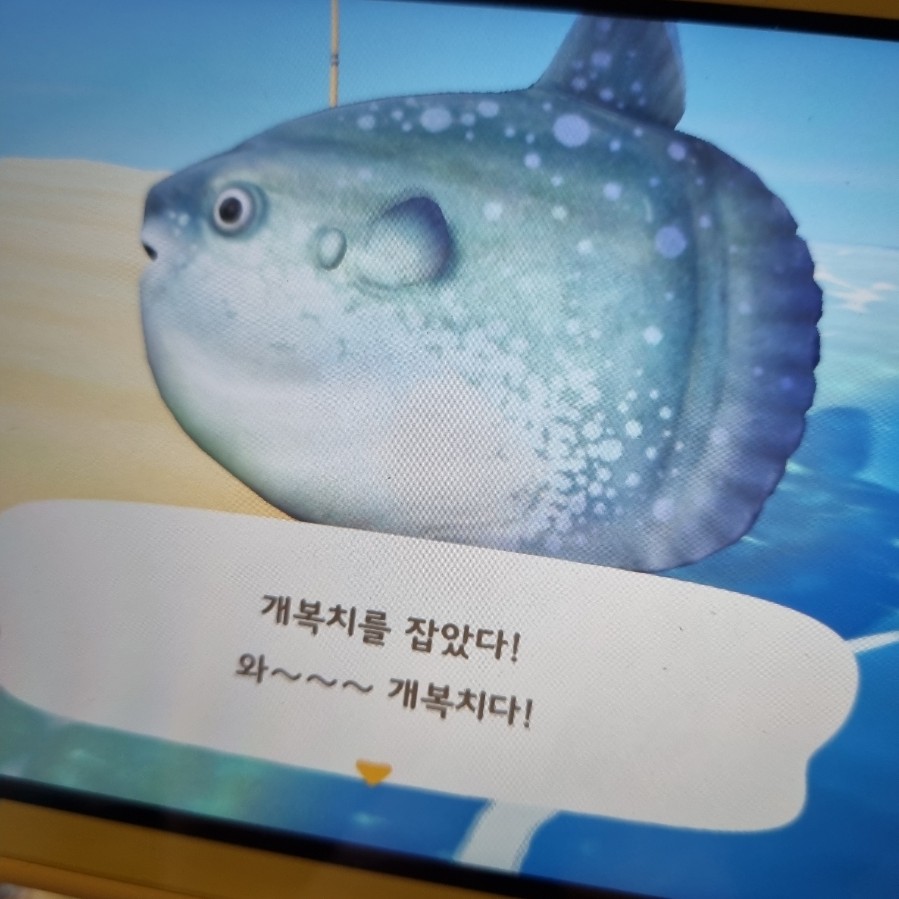 구이구이생고기 이미지