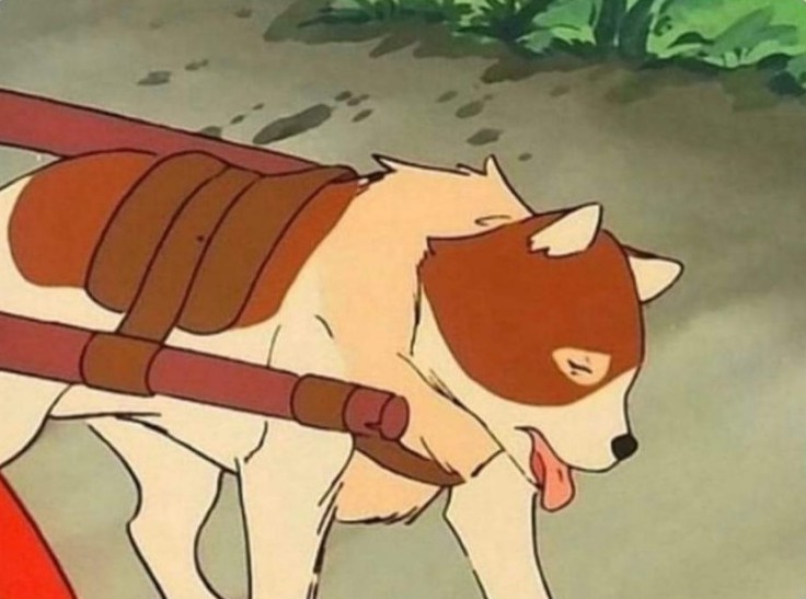 양주감악산캠핑장 이미지