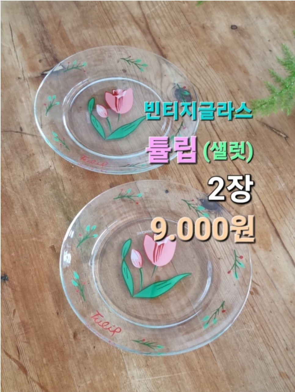 빈빈 이미지