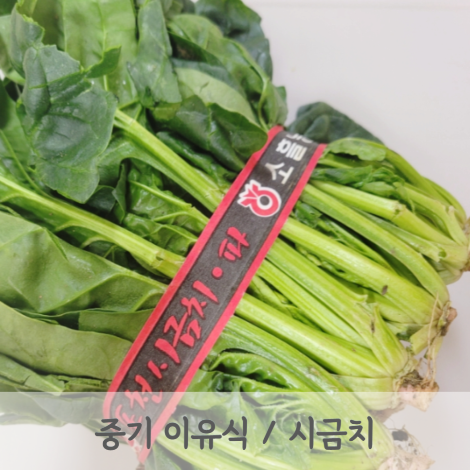 모도리베이비 이미지
