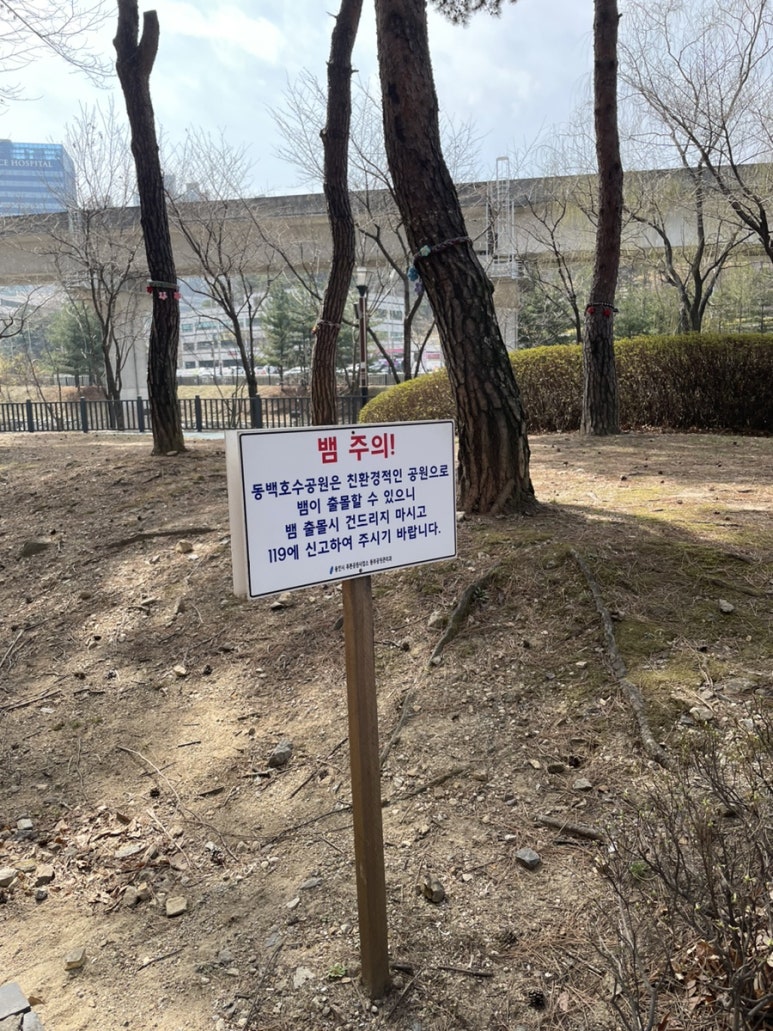 카페이륜당 이미지