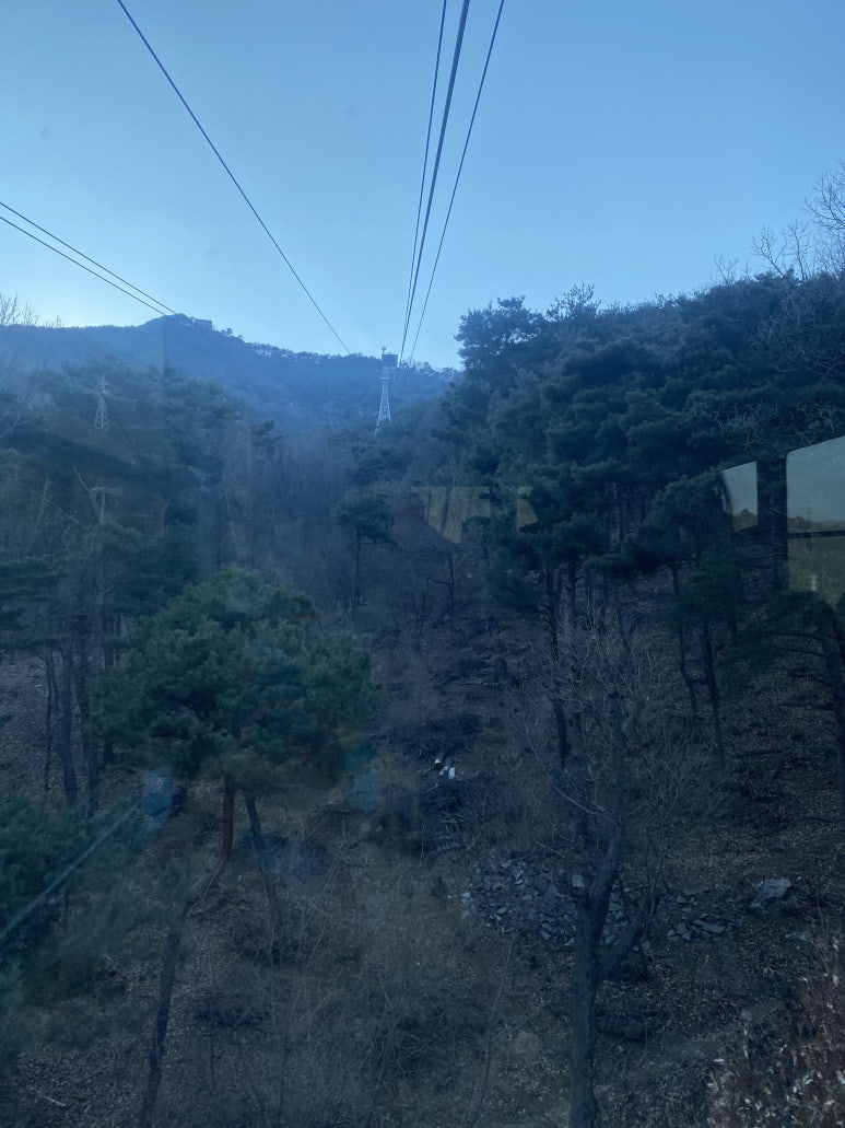 다도반점 이미지