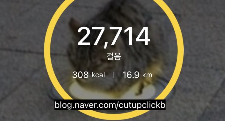 성북동돼지갈비집휴게소 이미지