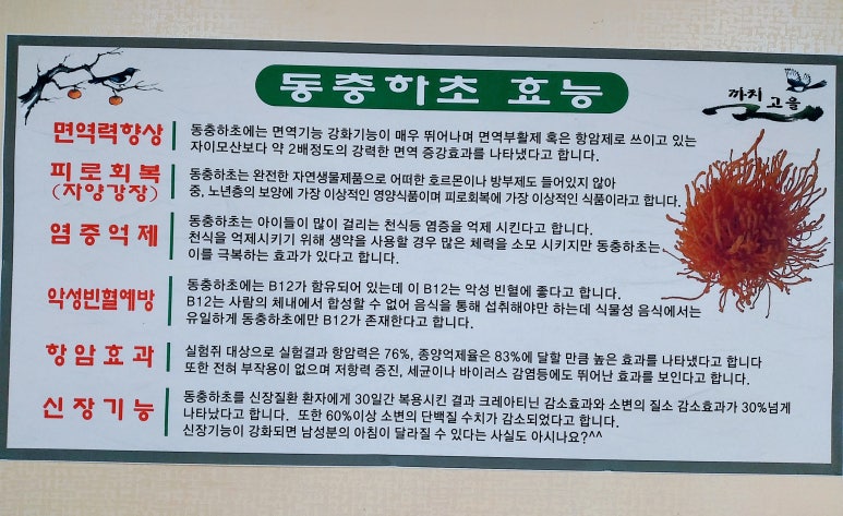 까치고을 이미지