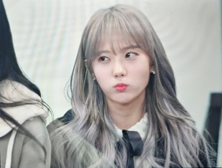 #봄헤어 이미지