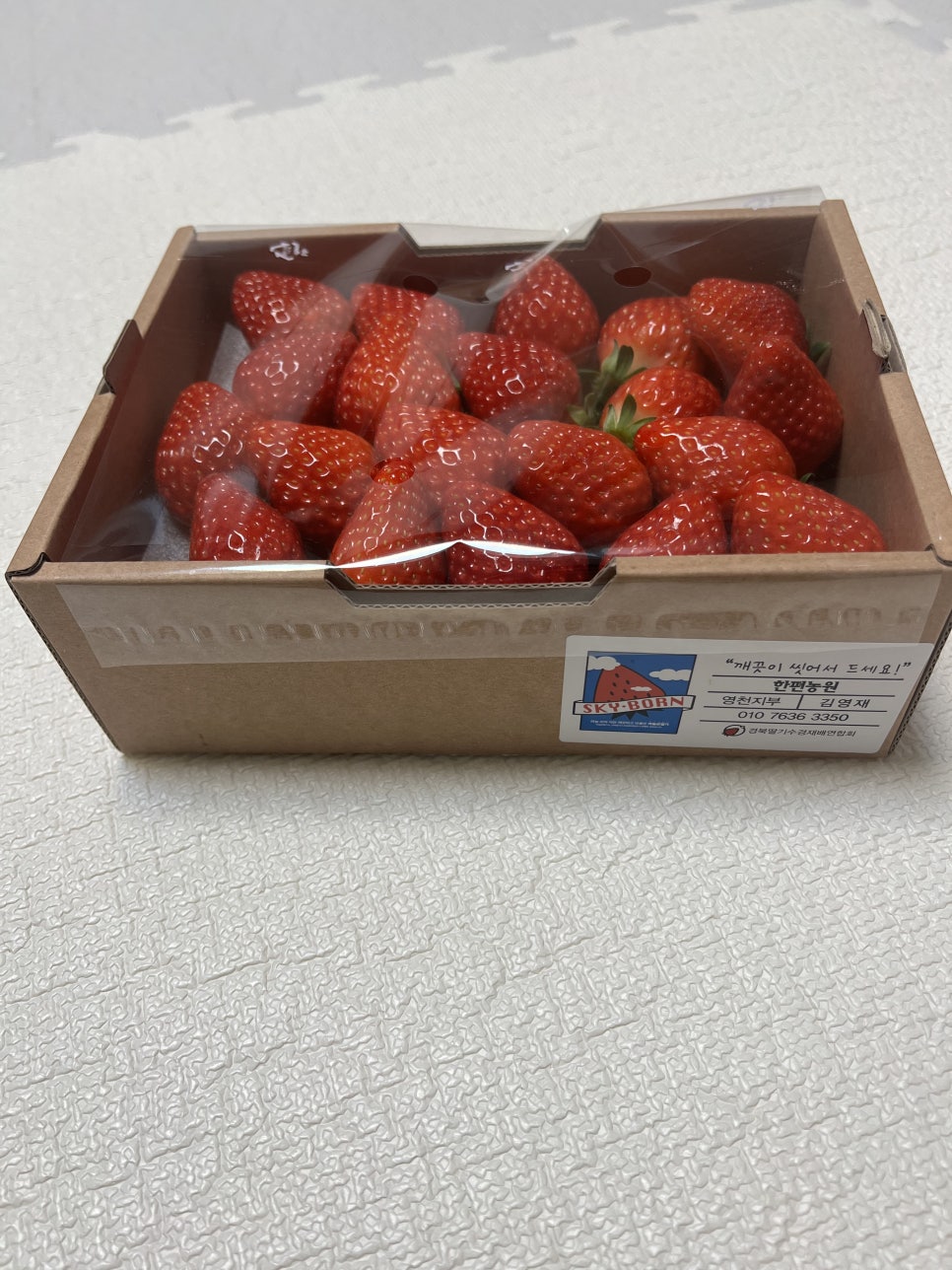 영재농원 이미지