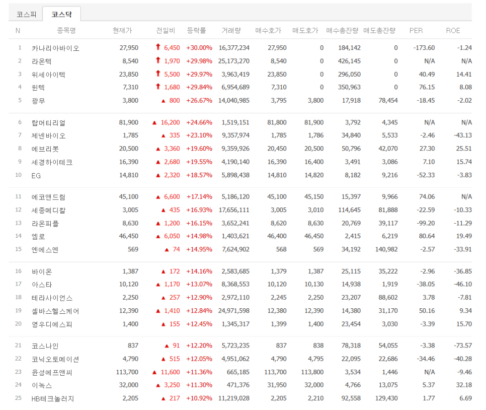 라온과기술주 이미지