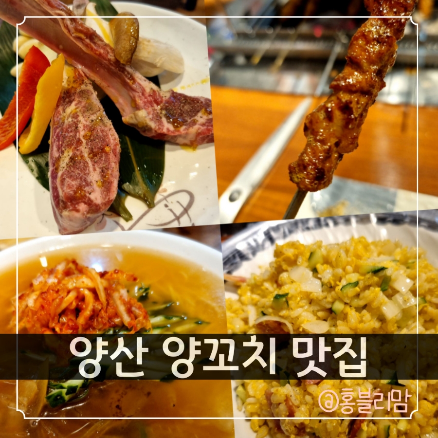 홍딩양꼬치 이미지