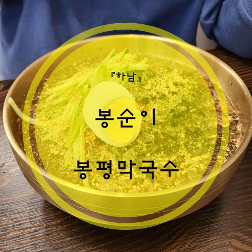 봉순이봉평막국수 이미지