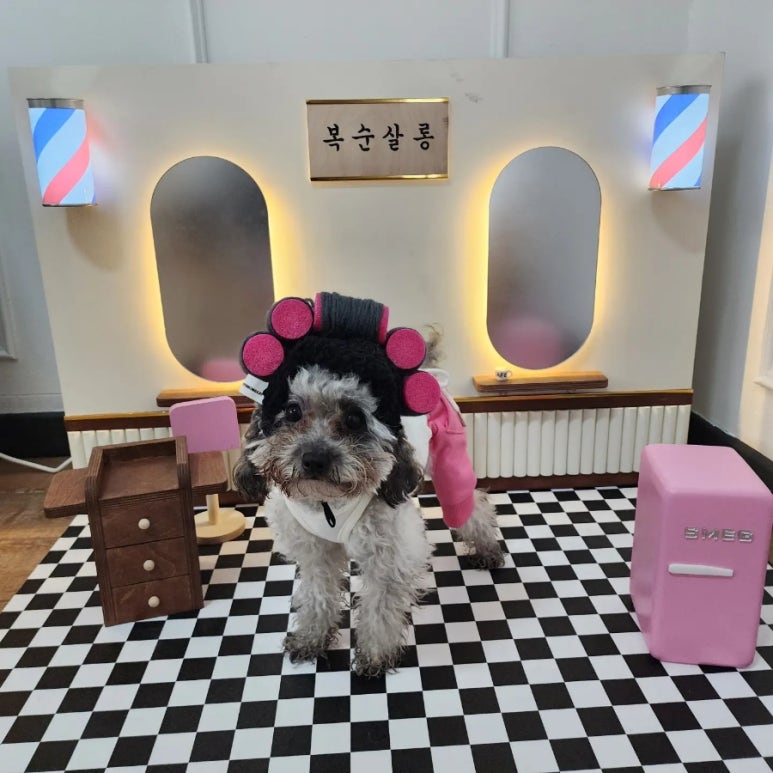 복순살롱 이미지