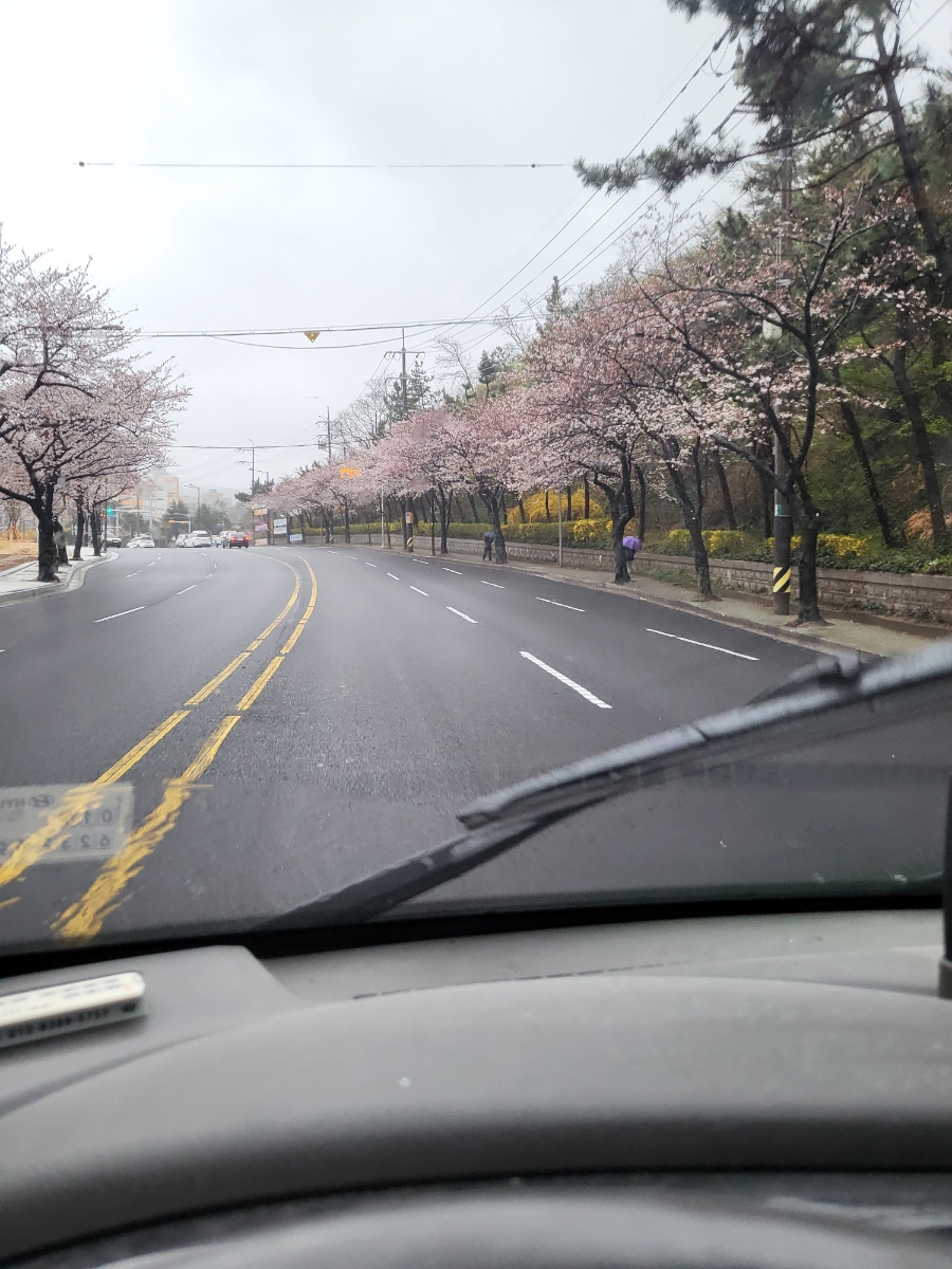 대성만물 이미지