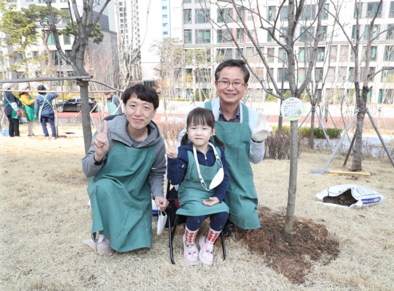 꿈과나무 이미지