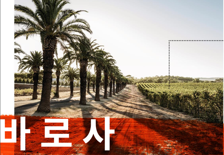 바인세라믹 이미지