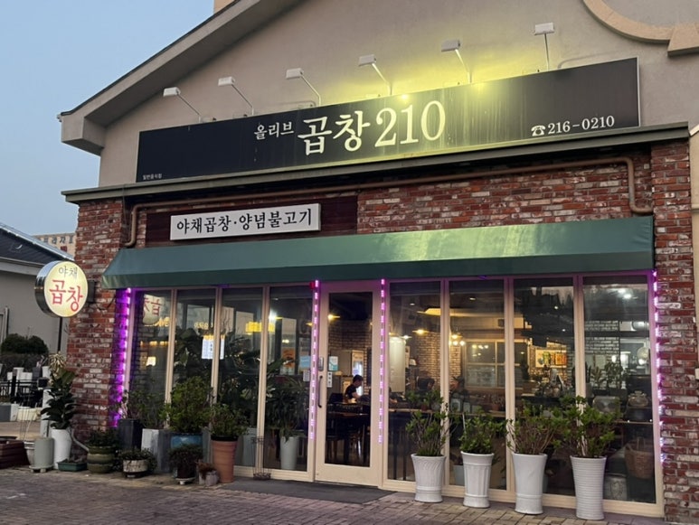 올리브곱창210 이미지