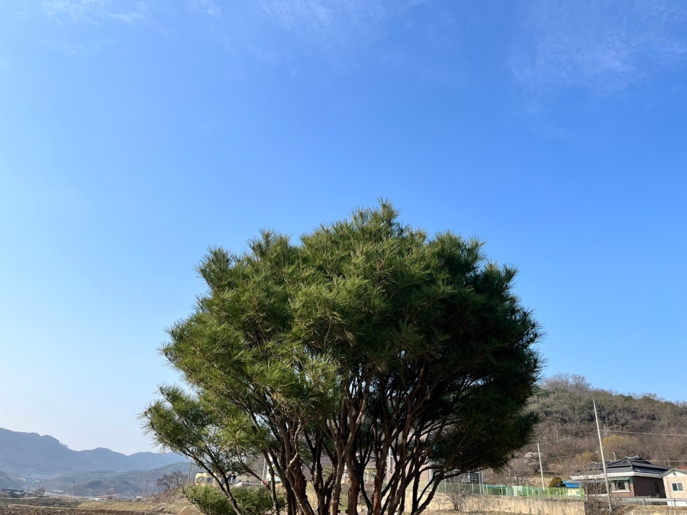 내집상회 이미지