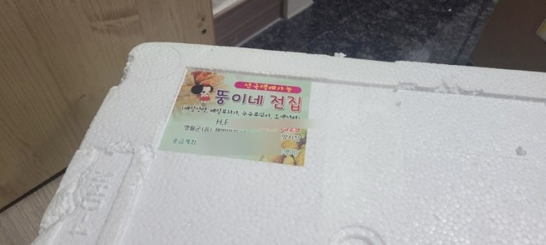 뚱이네전집 이미지