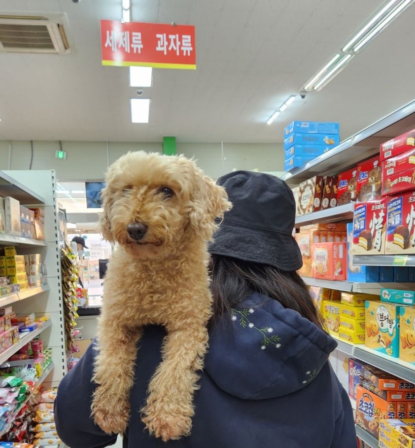 보경마트 이미지
