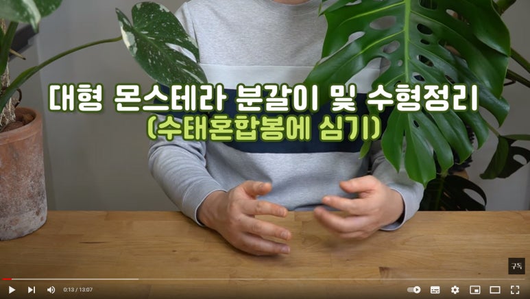 봉가이버 이미지