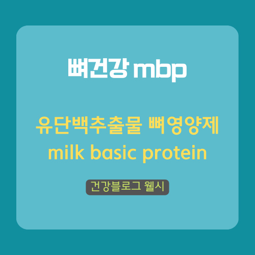 뼈앤돈 이미지