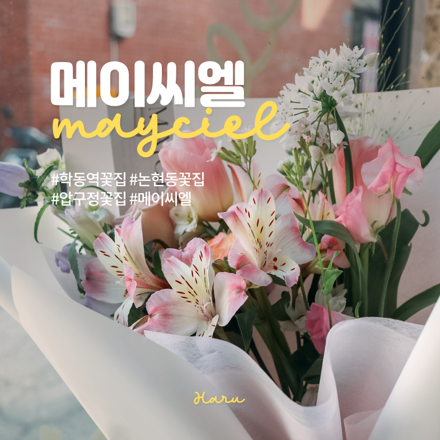 메이씨엘 이미지