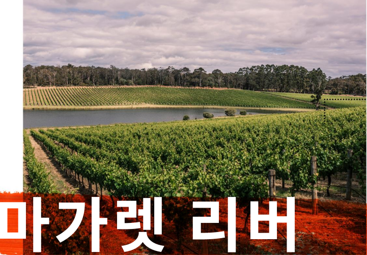 바인세라믹 이미지