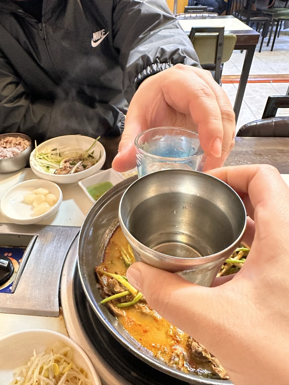 햇살마루청둥오리 이미지
