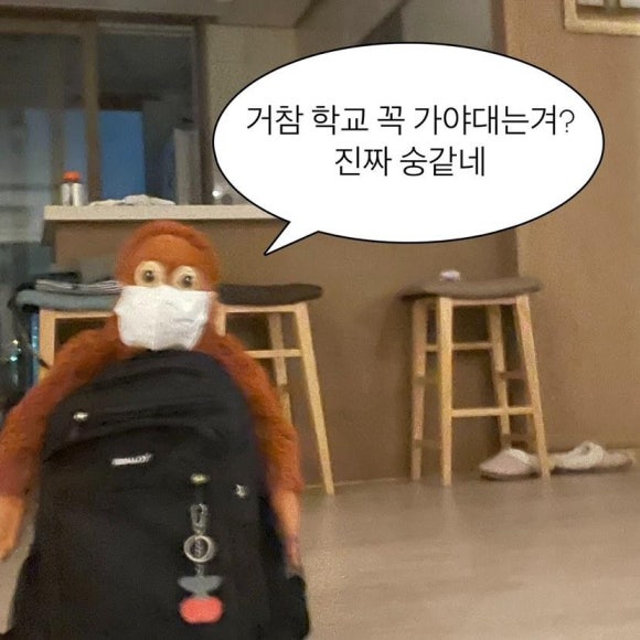 빠라빠라 이미지