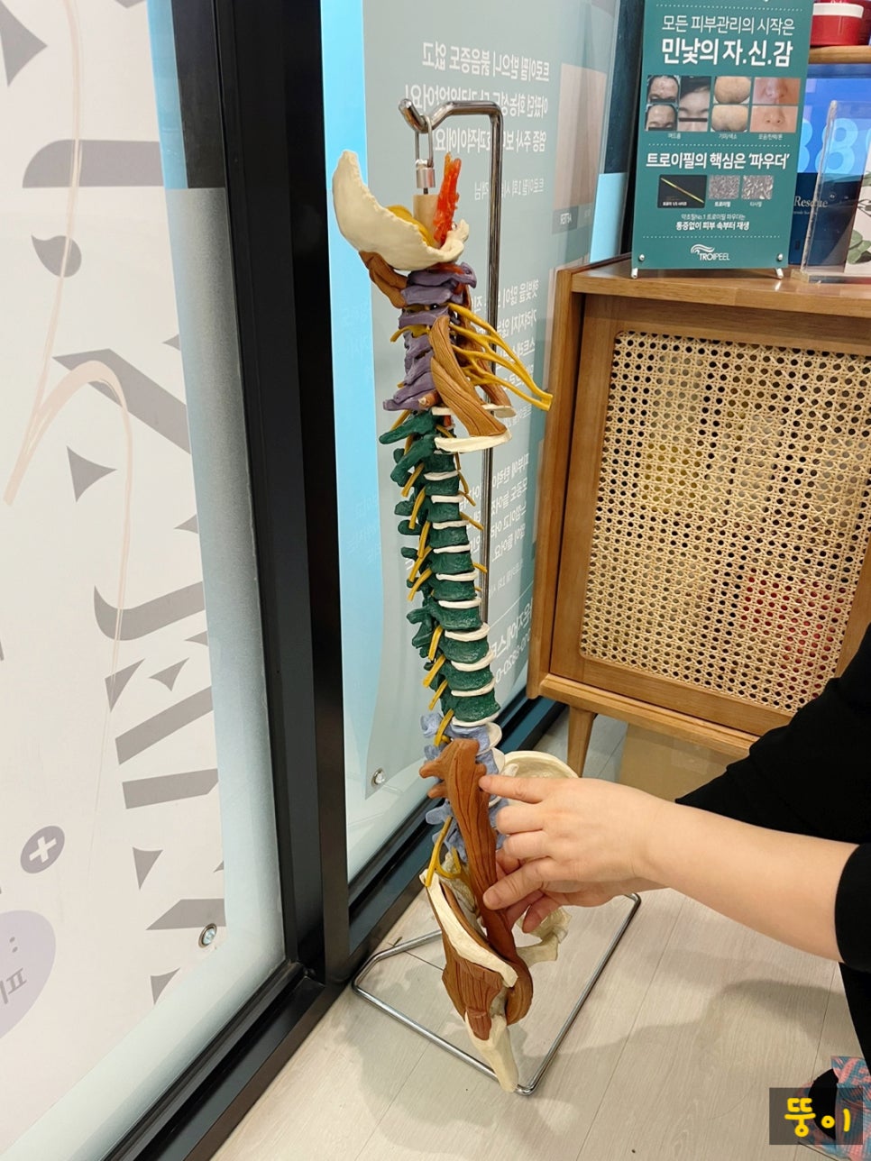 나은자에스테틱 이미지
