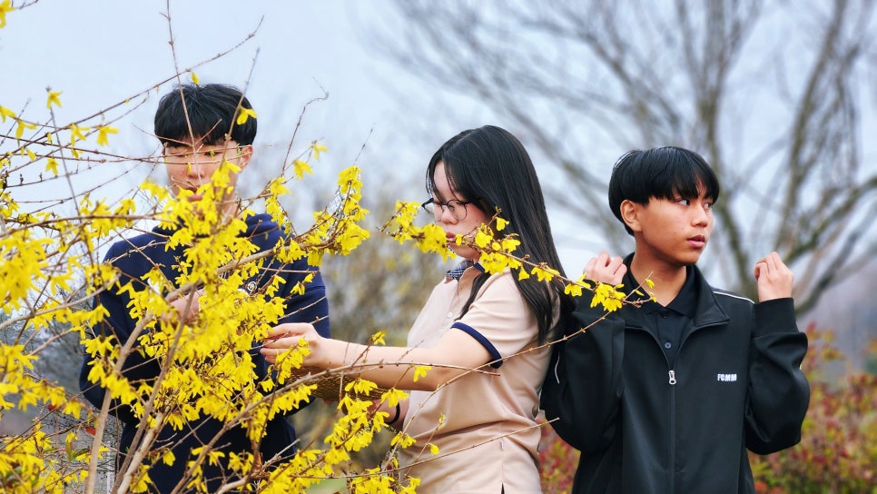 꽃을피자 이미지