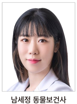 인벳츠 이미지