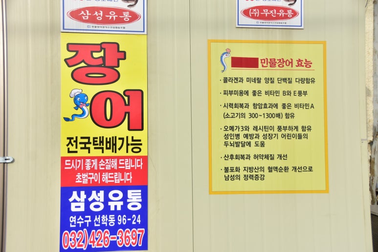 삼성장어 이미지