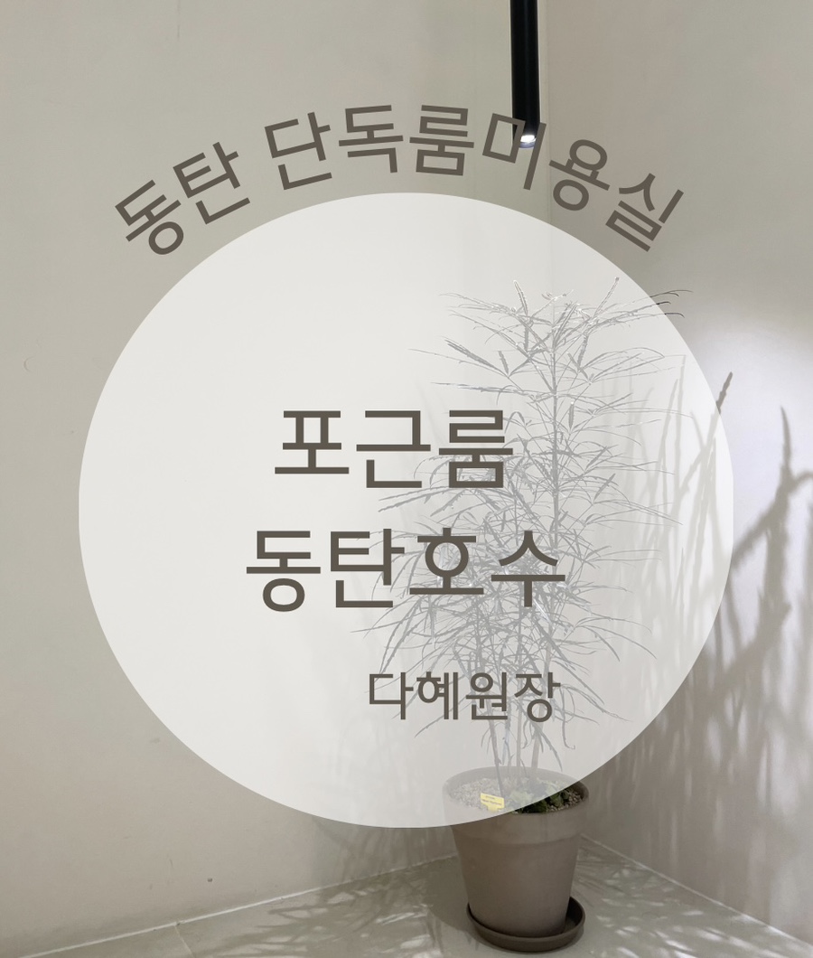 포근룸다혜 이미지