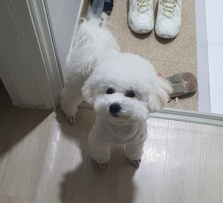 복자통신 이미지