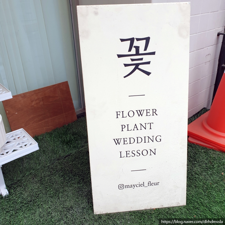 메이씨엘 이미지