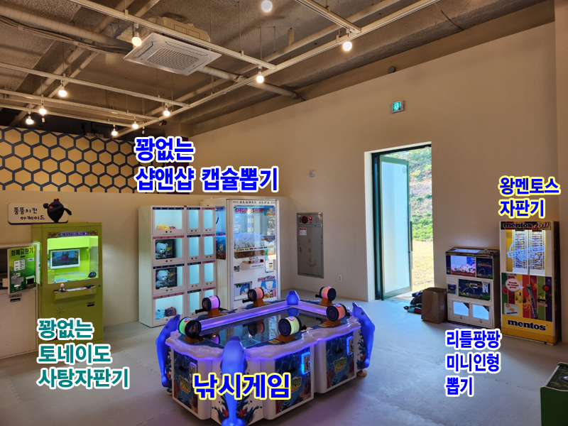 윌리코키 진주점 이미지