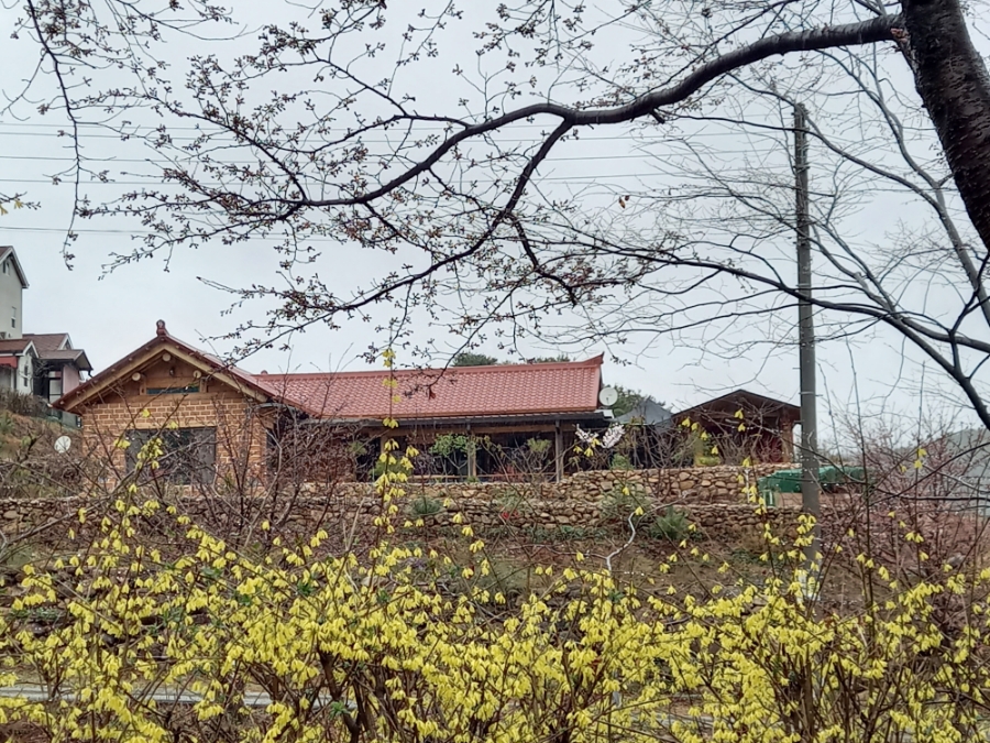 개나리민박 이미지