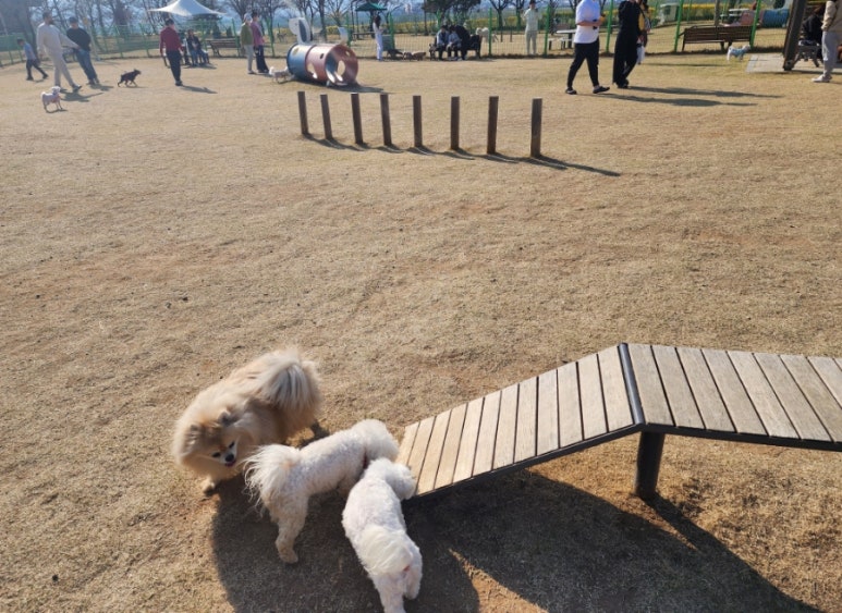 울타리천국 이미지