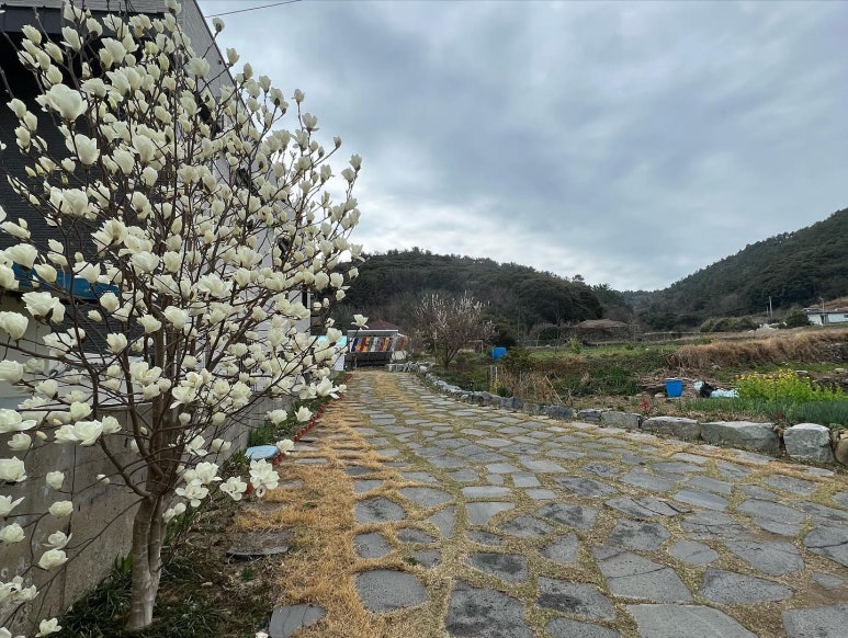 금오도별밤지기펜션 이미지