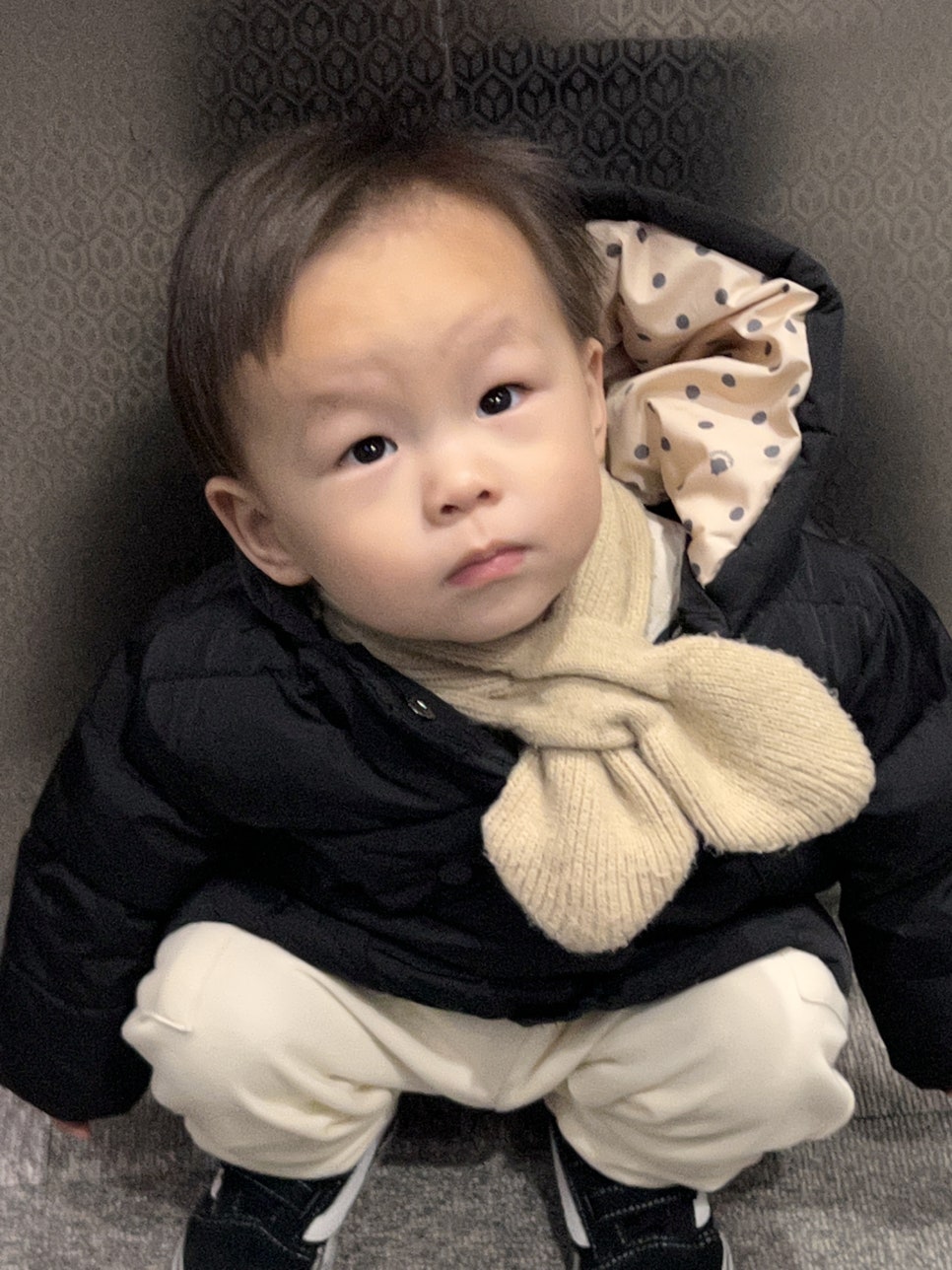 토리목장흑염소 이미지