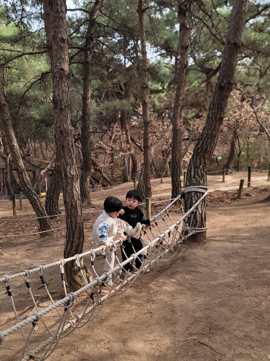 연암공원 유아숲체험원 이미지