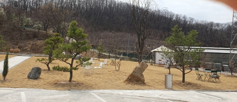 헤더그린 이미지