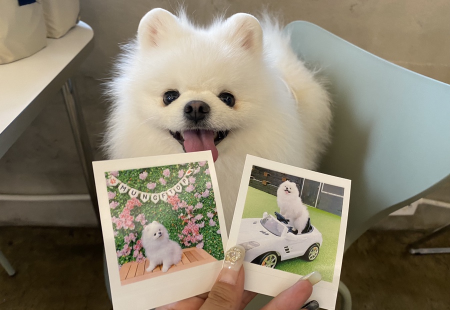 봉수스튜디오 이미지